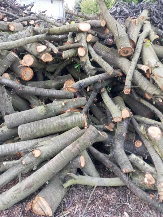 Sprzedam drewno opałowe suche sezonowane