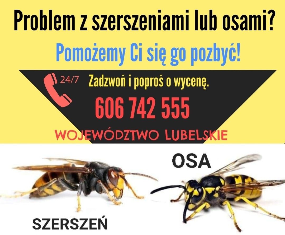 Usuwanie likwidacja gniazd os i szerszeni