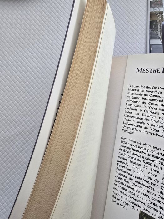 Tudo o que você nunca quis saber sobre Yôga - Mestre  de Rose