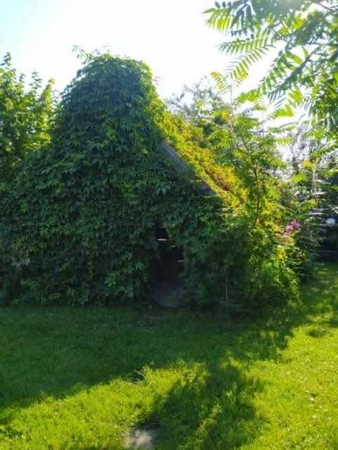 Domek letniskowy nad stawem