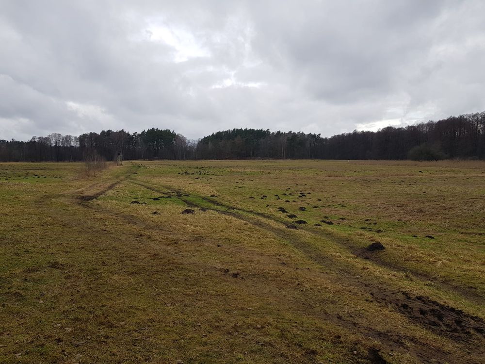 Piękna dzialka 2,9 ha nad rzeką Piławką w otoczeniu lasu