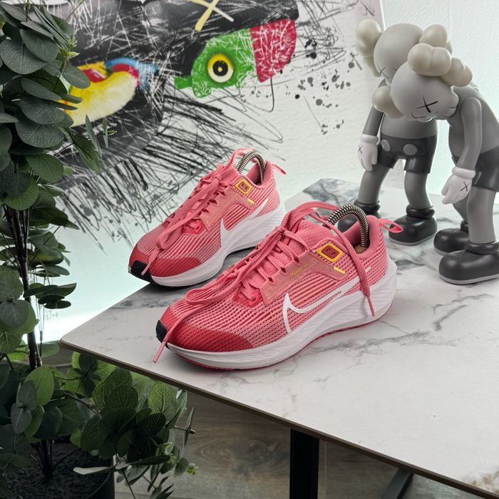 Кросівки Nike Zoom Pegasus 40 35.5 розмір E701