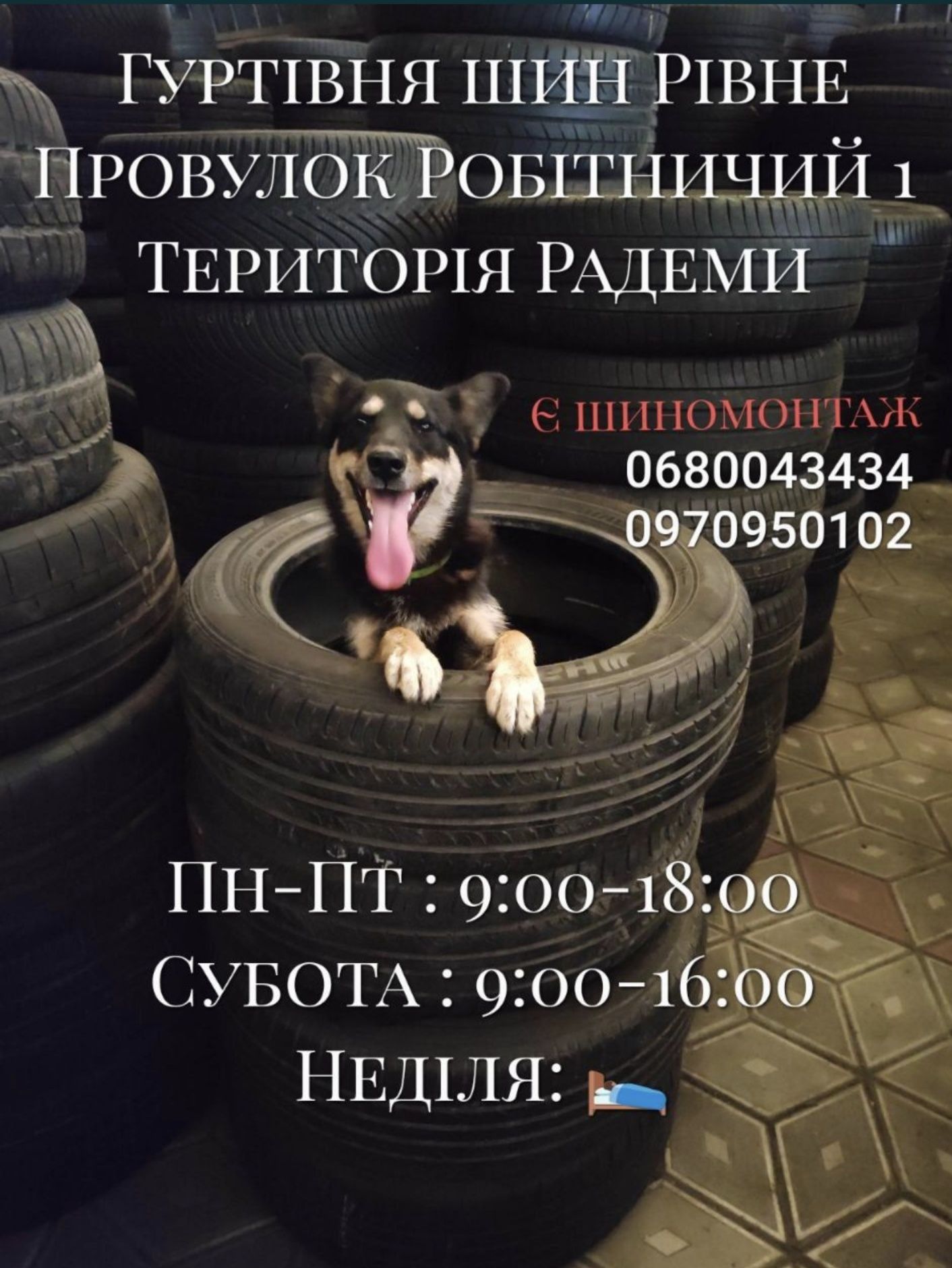 205/60R15 Nexen всесезон