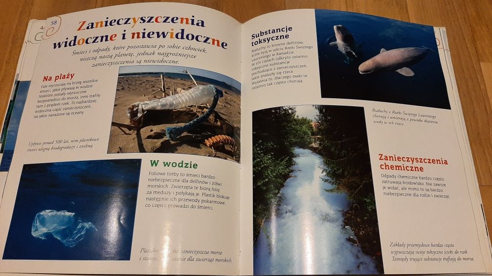 Moja encyklopedia: Morza encyklopedia dla dzieci