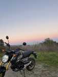 Honda msx (grom)