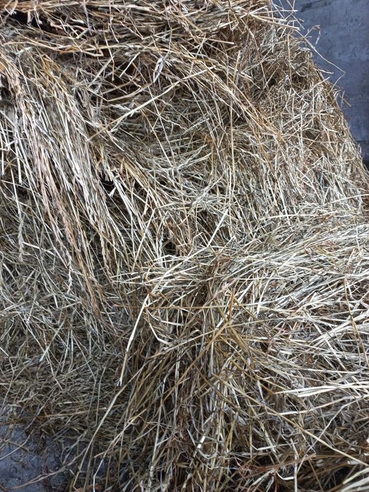 Sprzedam sianokiszonke