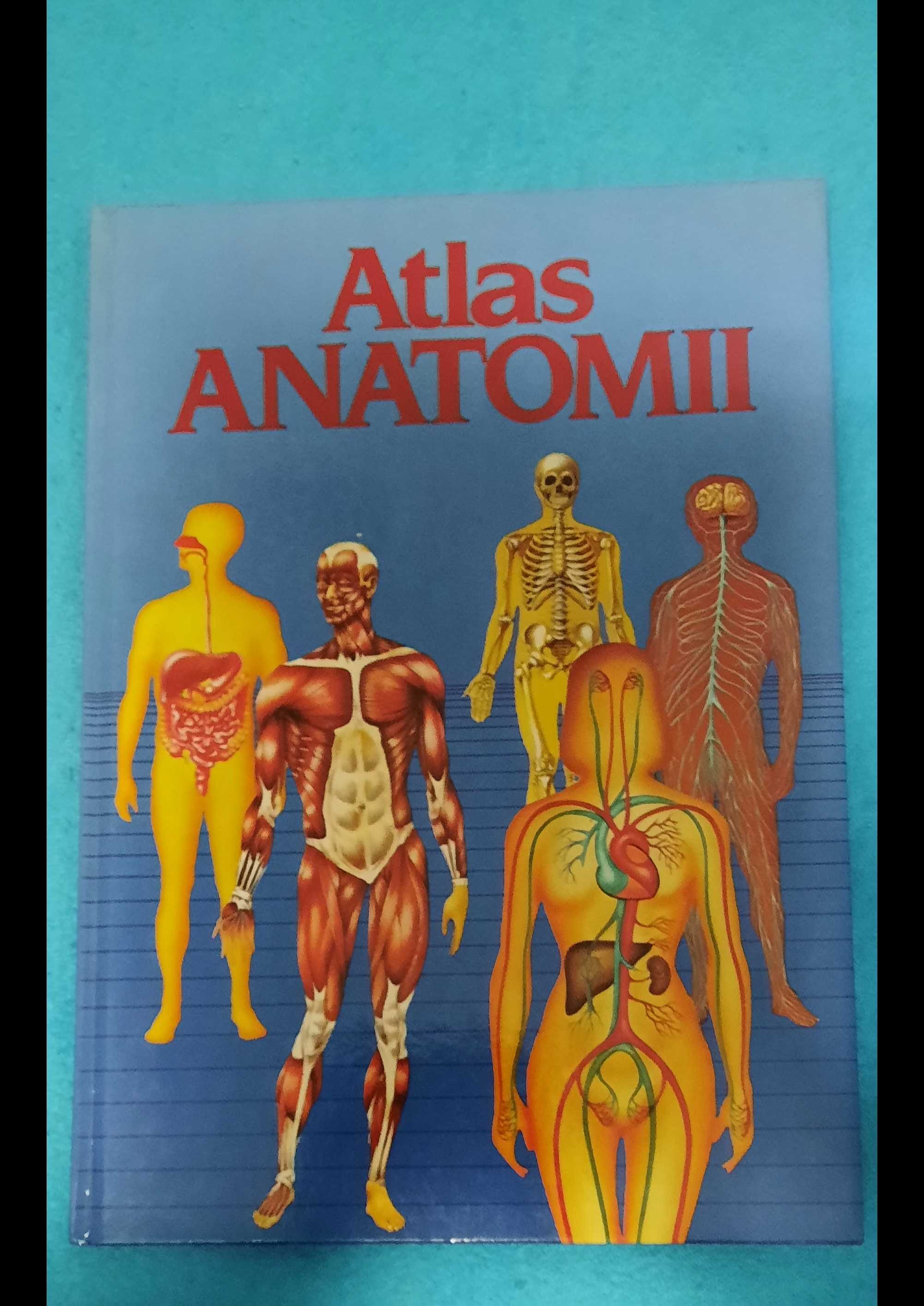 Atlas anatomii Ortega