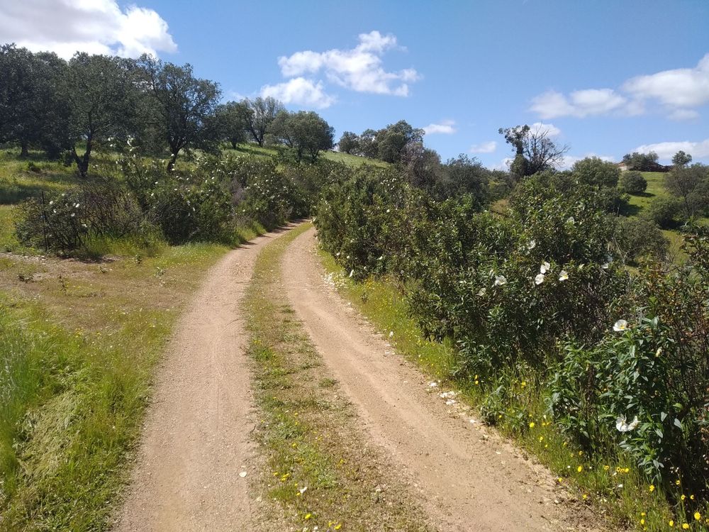 Propriedade alentejana
