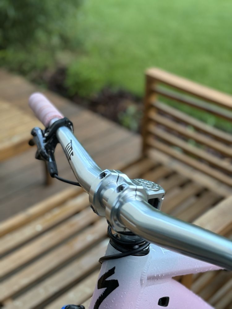 specialized p3 (custom)