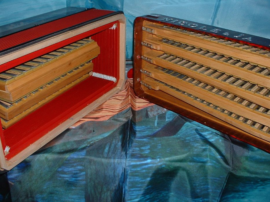 Acordeão Avenda G, .392