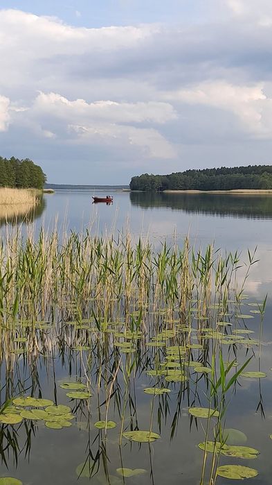 Domek nad jeziorem Sasek Wielki