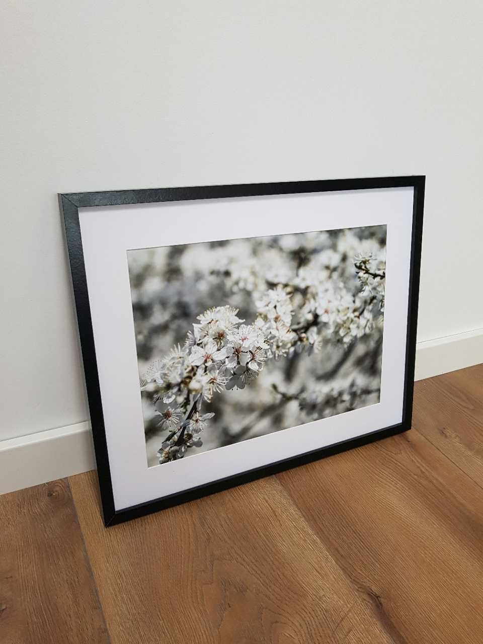Plakat obraz zdjęcie format A3 30x40 cm białe kwity wiosna maki mak