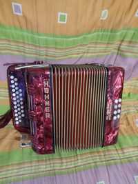 Concertina boa e muito bonita em ótimo estado