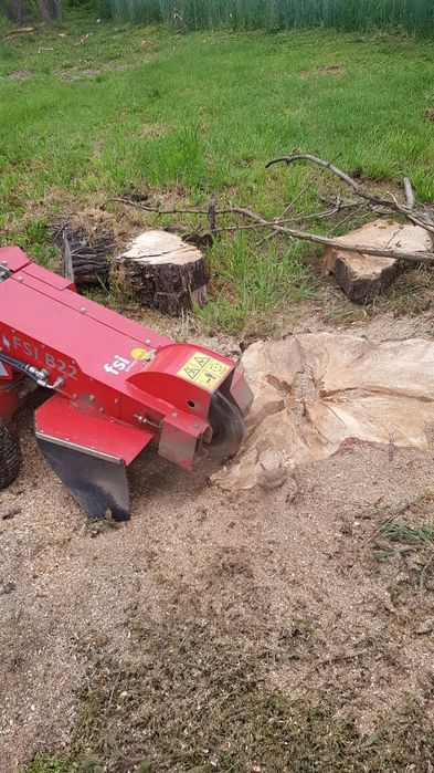 Wycinka drzew, wycinka drzewa, frezowanie pni, Rębak do gałęzi,