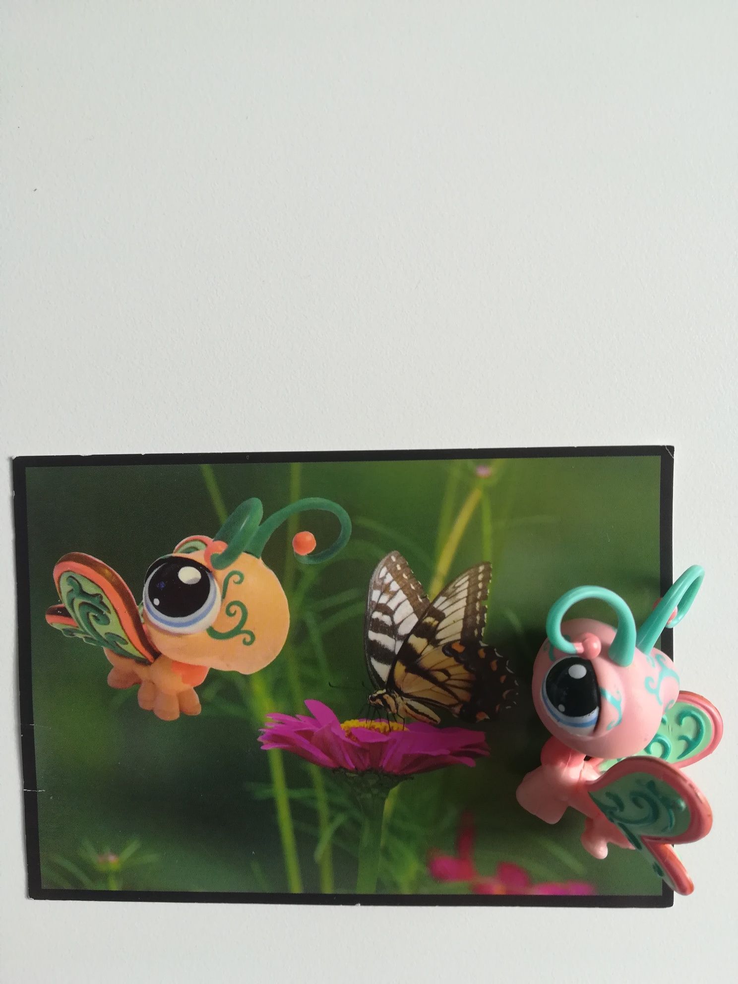 UNIKAT Littlest Pet Shop motyl w zestawie z limitowaną pocztowka