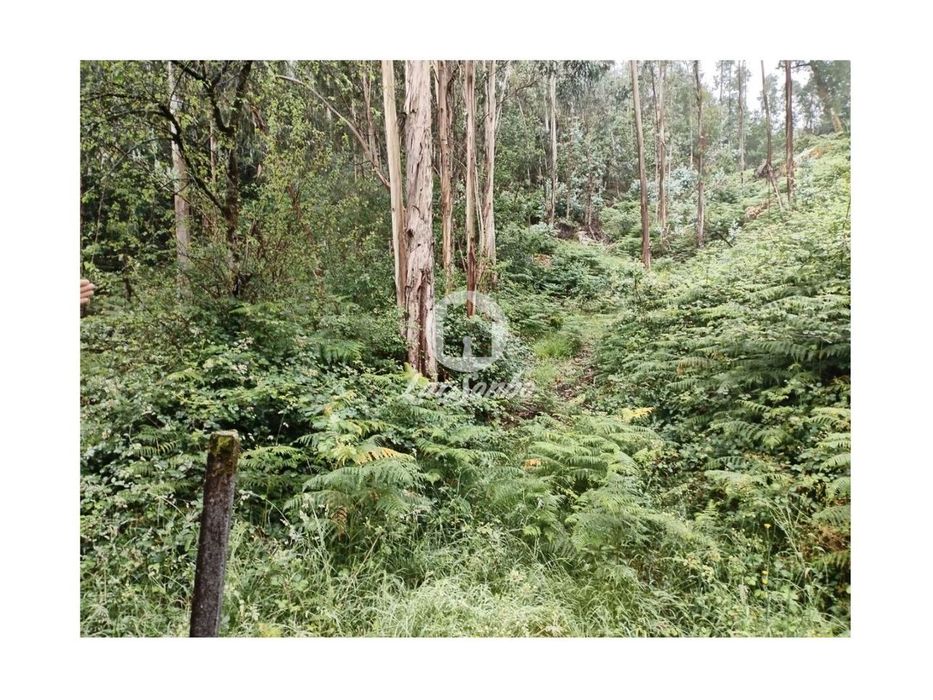 Terreno de 6140m² no Parque Natural do Gerês