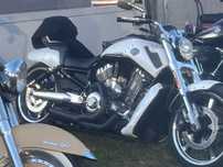 Harley Davidson V Rod MUSCLE