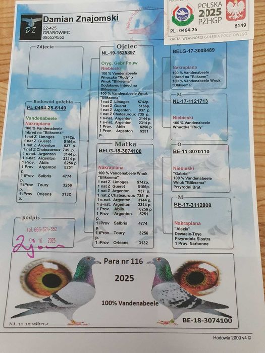 Gołębie pocztowe po Oryg. Hans Hirn Leo Heremans Vandenabeele rodowód
