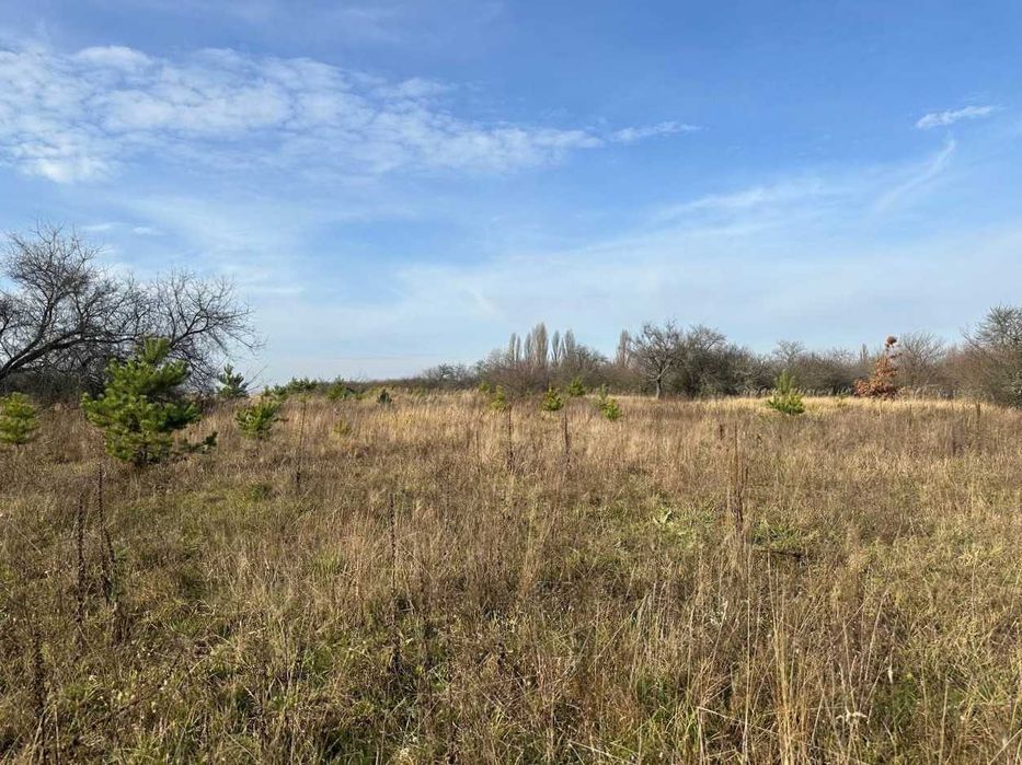 Продаж ділянки 10 соток під забудову. Біля лісу.Зручний під'їзд.ID:728