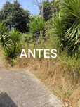 Fasso limpezas de terrenos, jardins,casa etc.. orçamento gratis