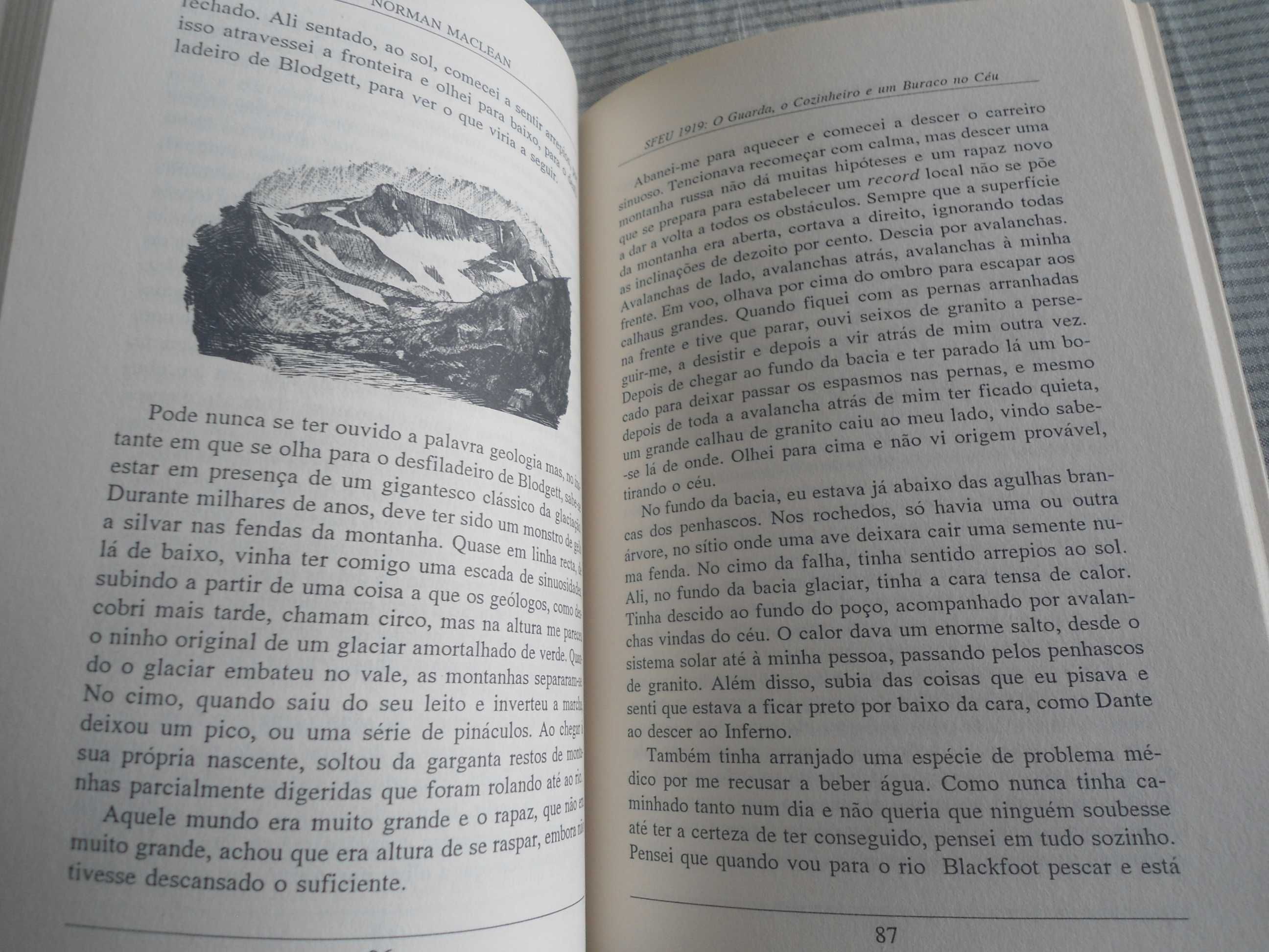 Lenhadores e Chulos e SFEU 1919 por Norman Maclean