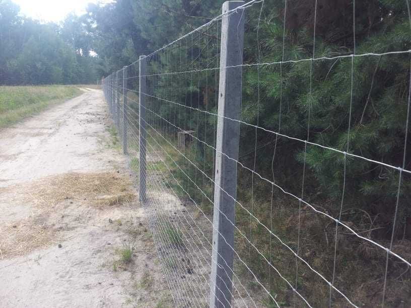 Ogrodzenie leśne/h-150 w cenie 28zł MB słupek betonowy siatka leśna