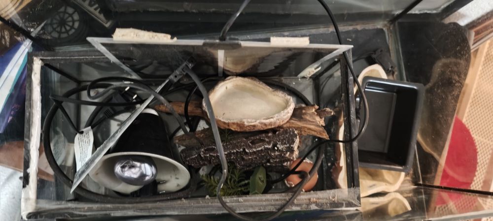 Terrário ou aquário com objetos incluídos