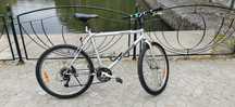 Rower górski Unibike