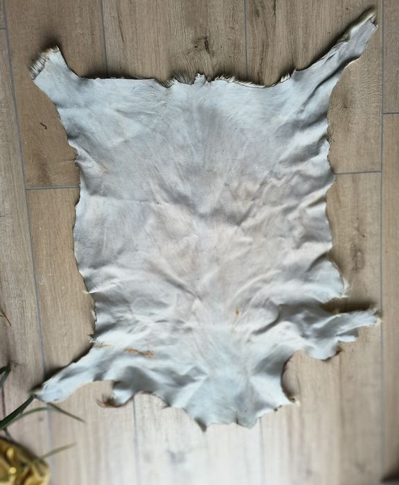 Piękna skóra kozia