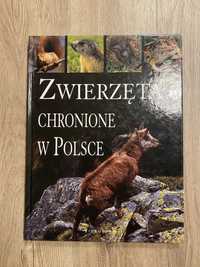 Zwierzęta chronione w Polsce - Bilińscy