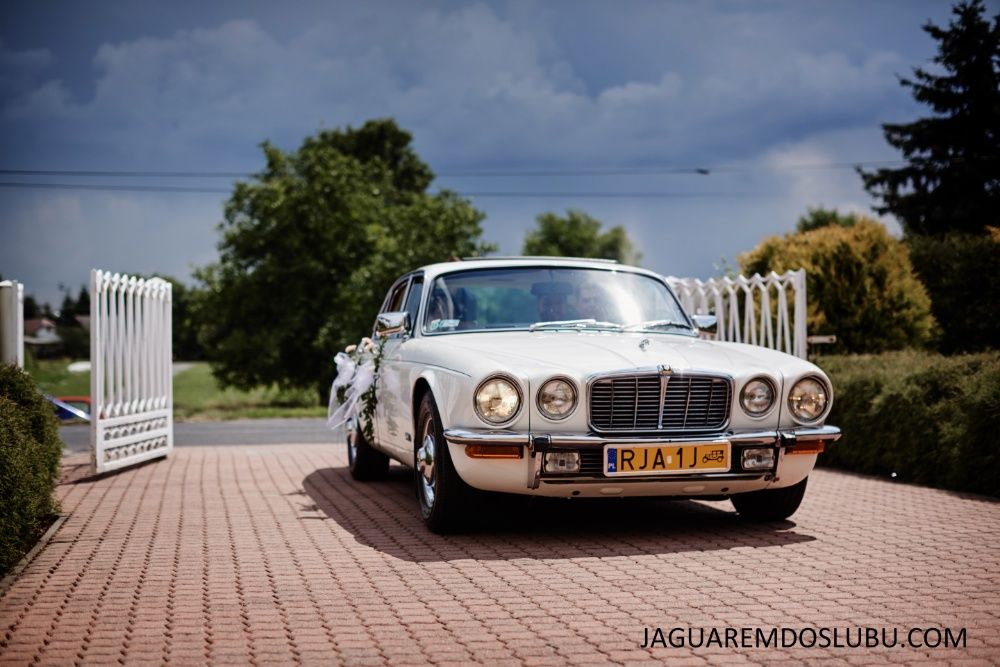 Auto do slubu, samochód Jaguar XJ6. Wynajem na śluby Podkarpacie.