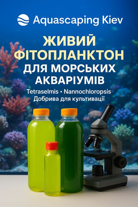 Тетраселміс Tetraselmis. Наннохлоропсис Nannochloropsis. Фітопланктон.