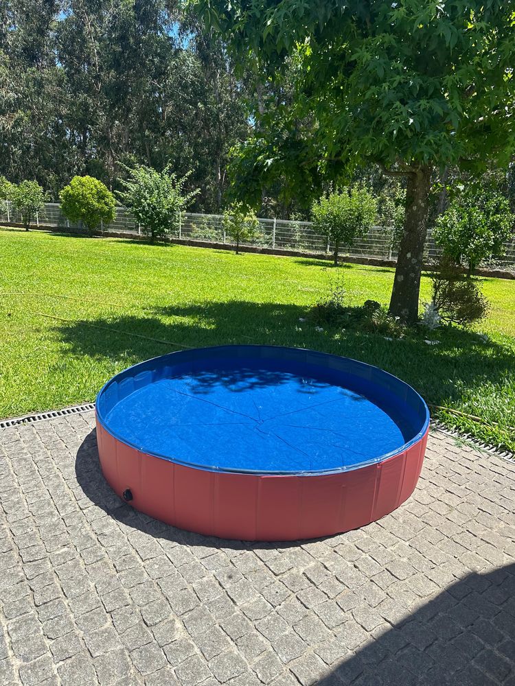 Piscina para cao