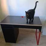 Biurko IKEA MICKE czarny antracyt + czerwony