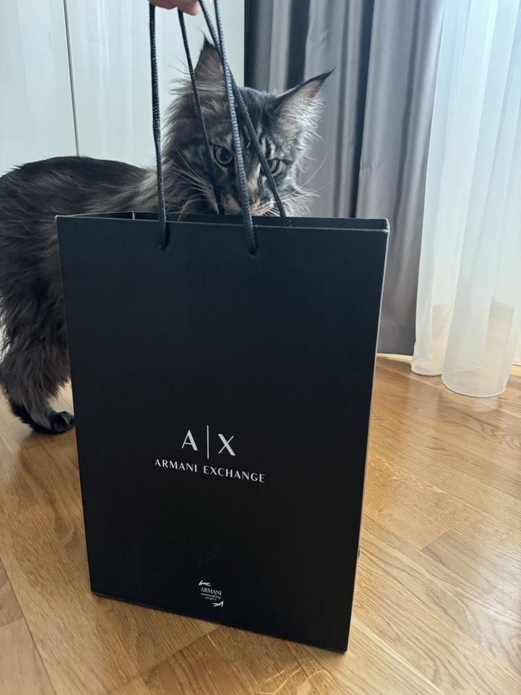 Кросівки Armani Exchange чоловічі