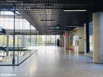 Wynajem, Sopot Centrum – Lokal z Witryną, 67m2
