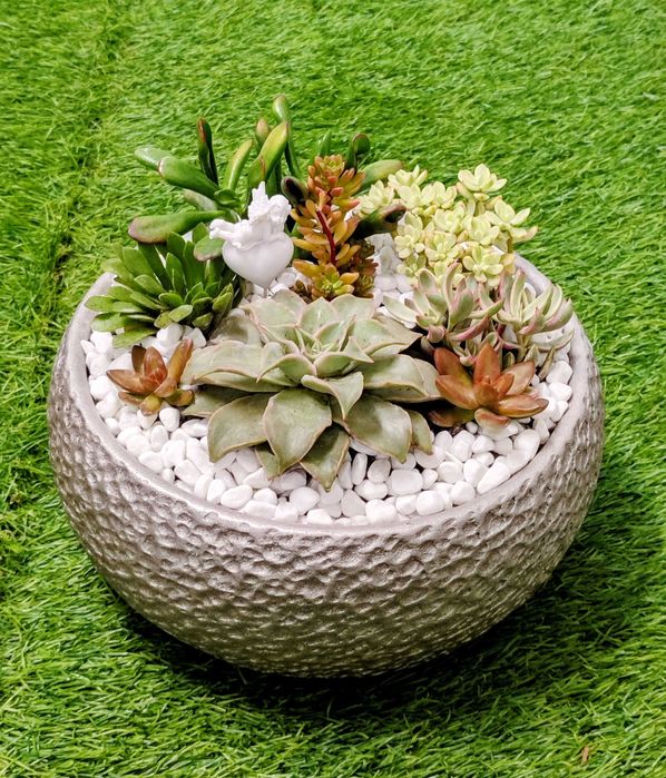 Arranjos com suculentas/ espadas