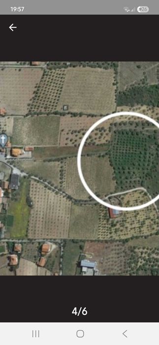 Venda Terreno Agrícola