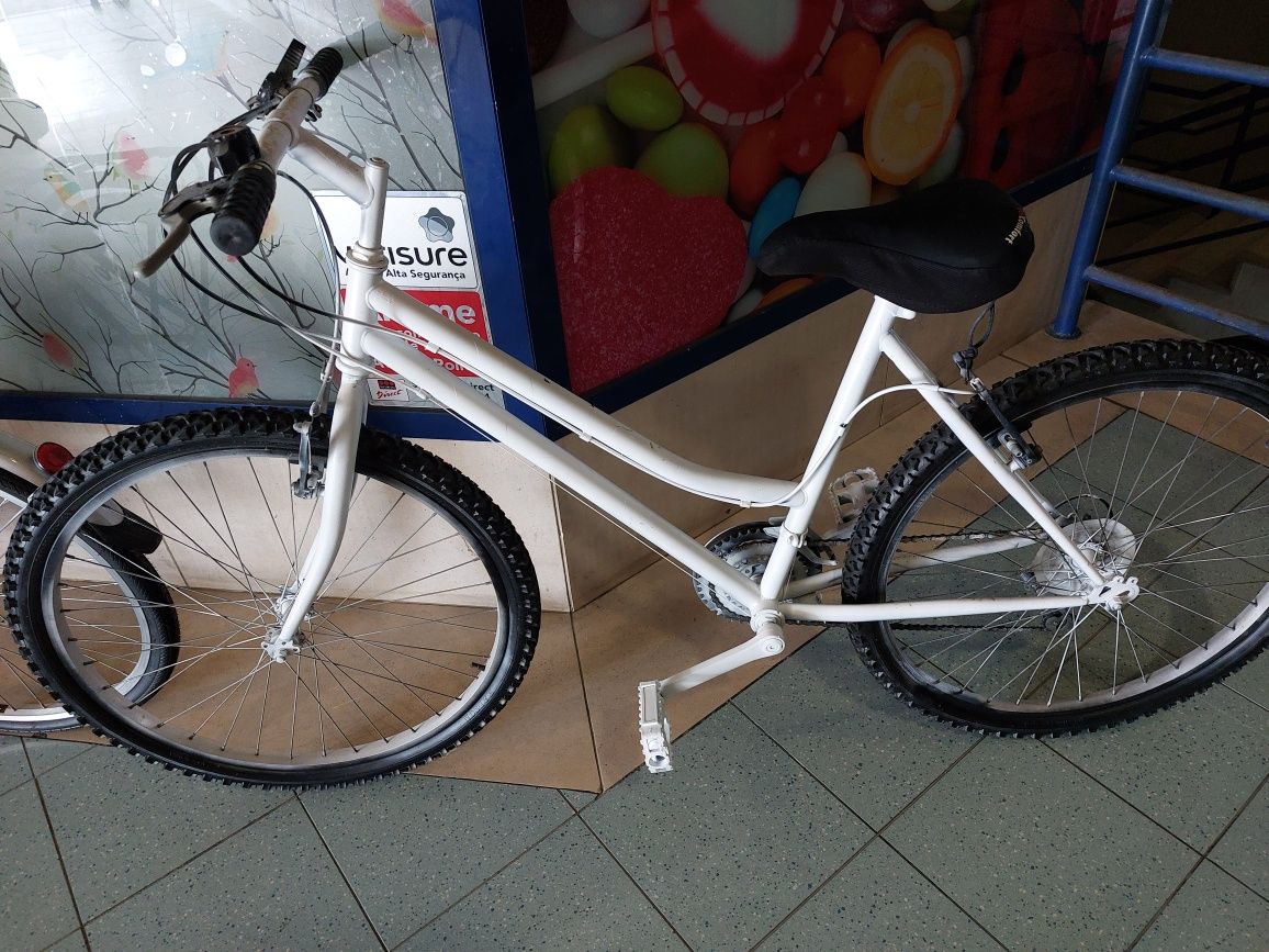 Bicicleta passeio