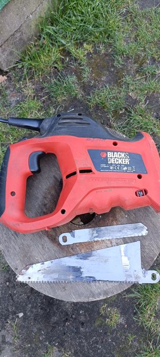 Piła szablasta lisica