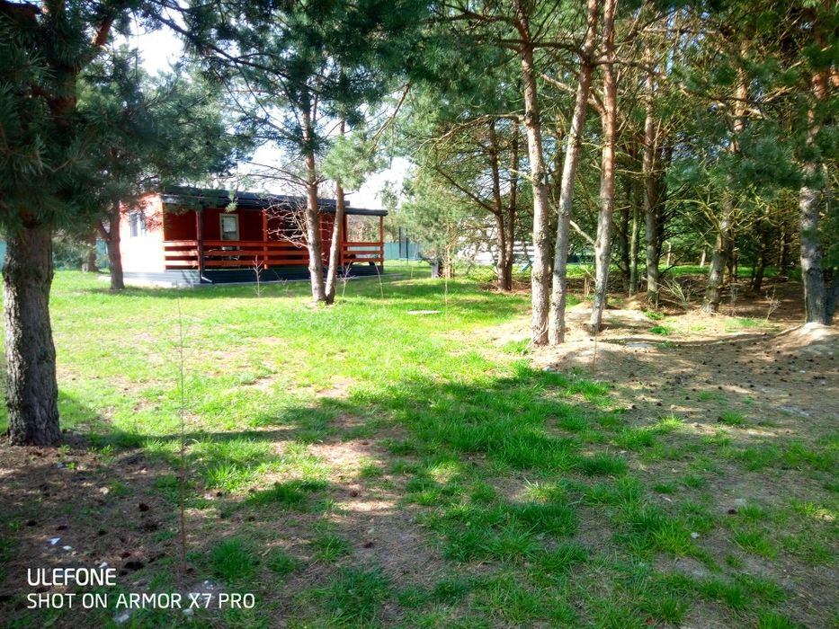 tani nocleg Pokoje domek rowery grill taras hamaki wędkowanie parking