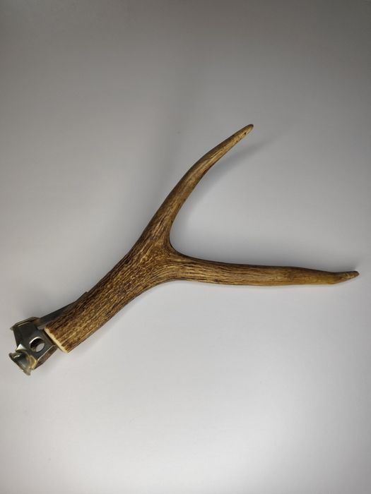 Obcinaczka do cygar z poroża jelenia Donatus Solingen