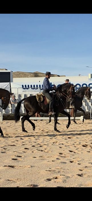 COBRIÇÕES disponíveis PSL 70 pts