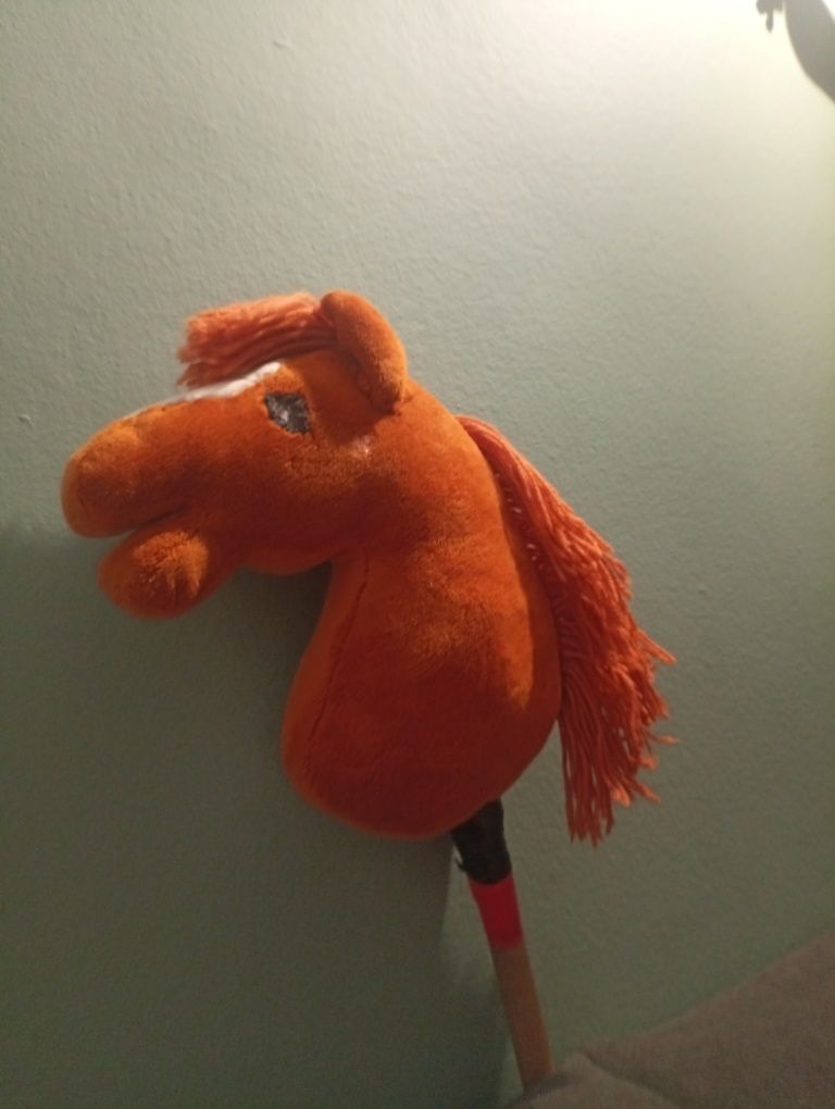 Hobby horse rudy