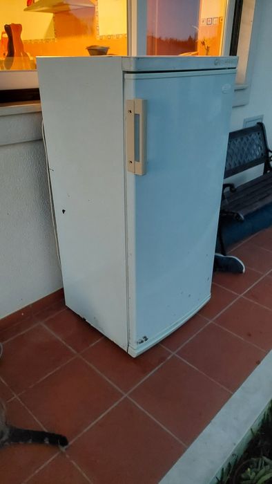 Arca Congeladora Vertical