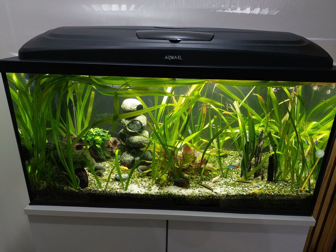 Akwarium 112 l aquael