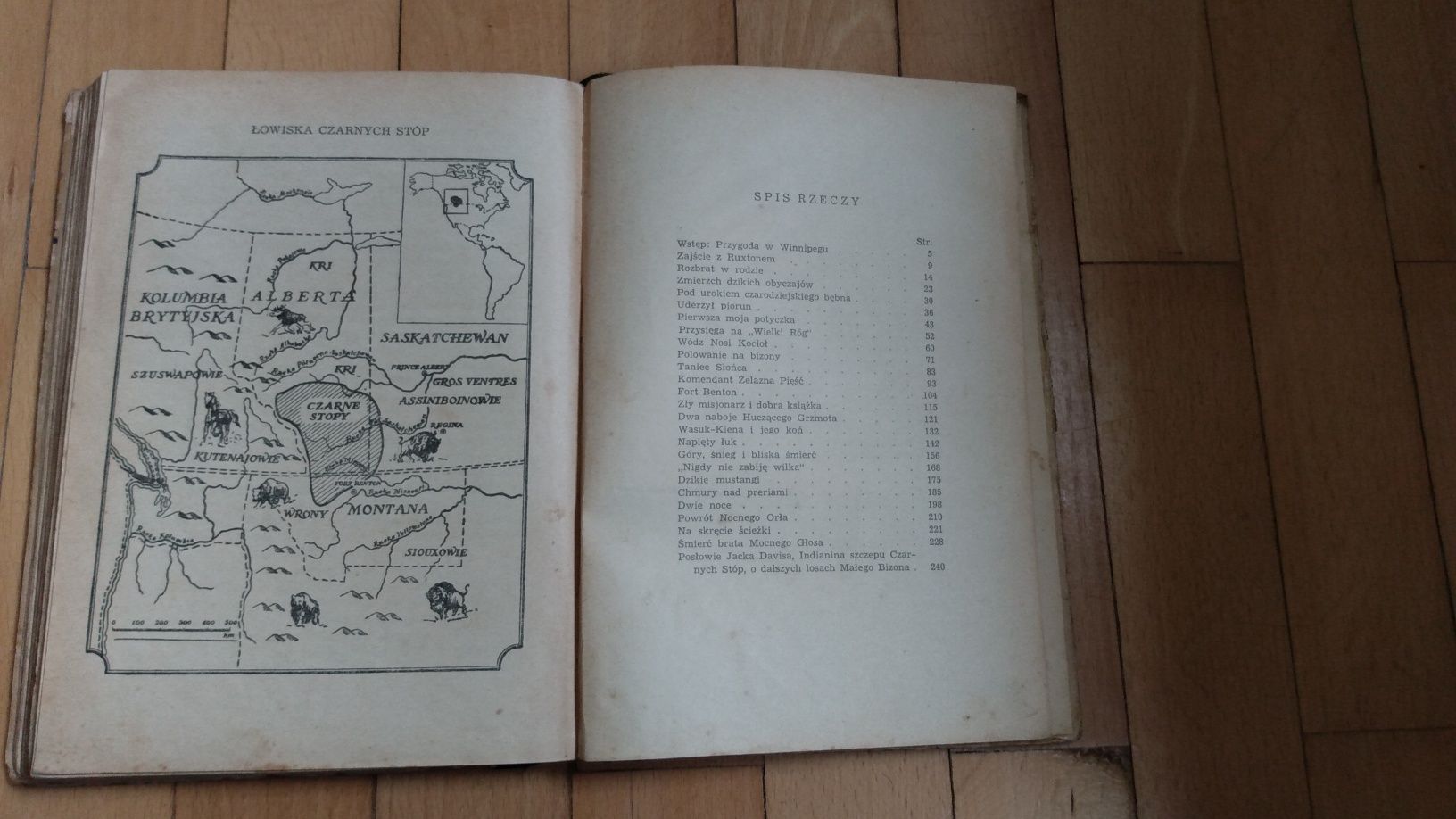 Mały Bizon Arkady Fiedler "Iskry" 1953