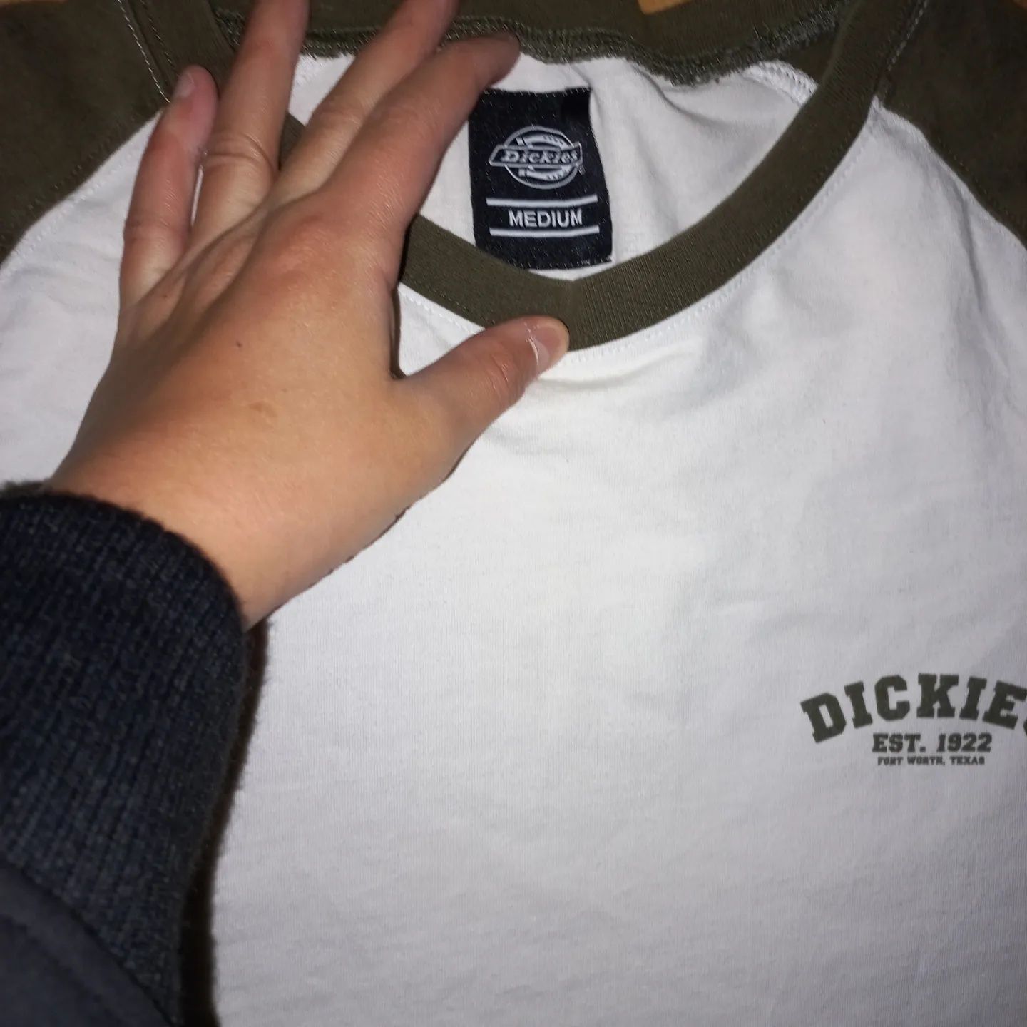 Лонгслів dickies rare