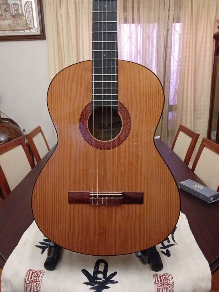 GUITARRA Brammus