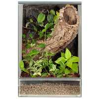 Terrarium las w szkle gekon